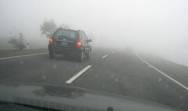 tips de seguridad vial, conducción con niebla