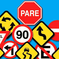 Educación vial en argentina: evaluación práctica de idoneidad conductiva